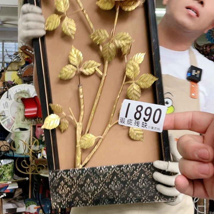 红陶20CM（含）-50CM（不含）
