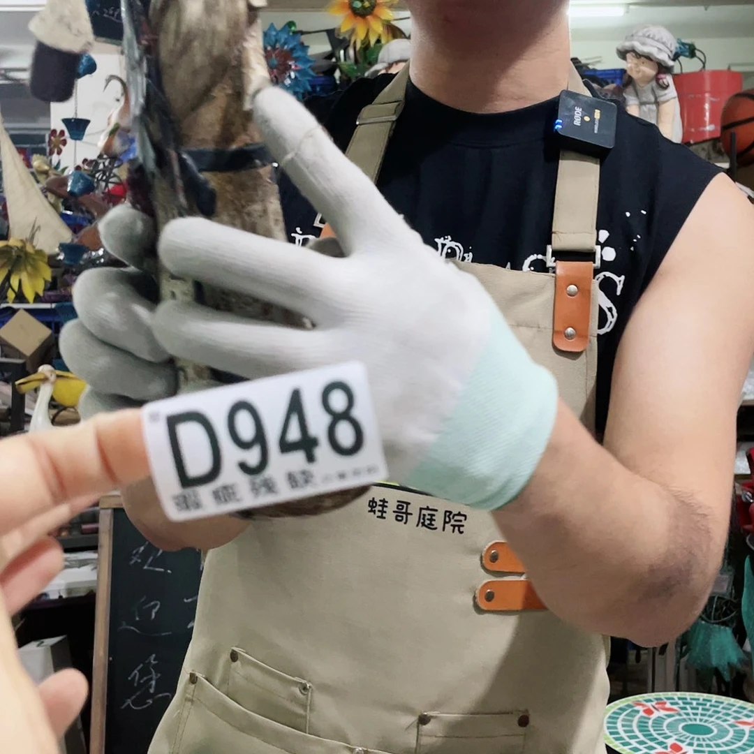 红陶蛙哥庭院中古