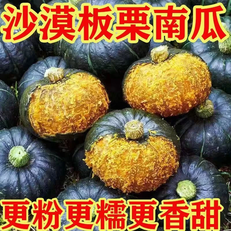 板栗南瓜软糯香甜新鲜上市价格亲民产地直发