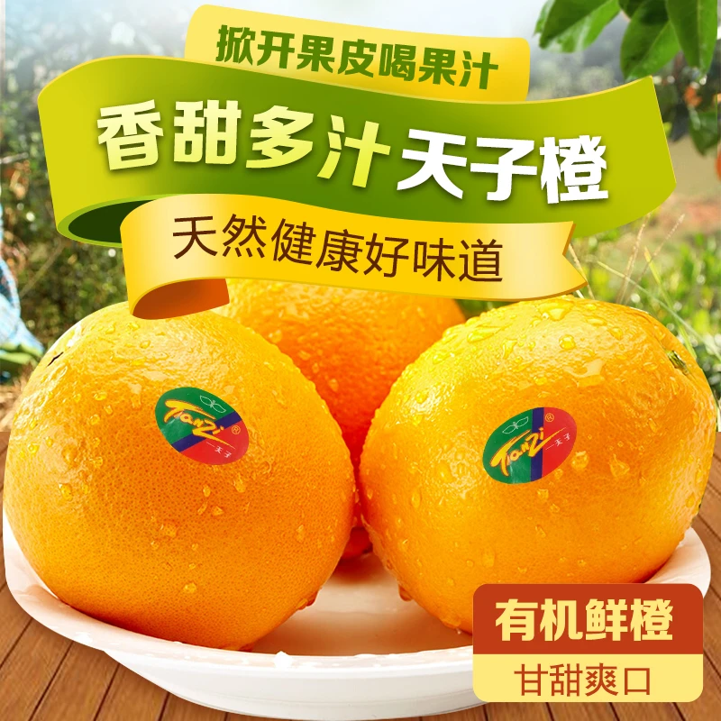 Tianzi/天子江西赣南脐橙橙子当季水果新鲜正宗赣州橙
