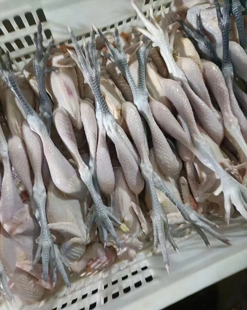 【顺丰、京东生鲜包邮】河堆林养童子鸡（60-90天）