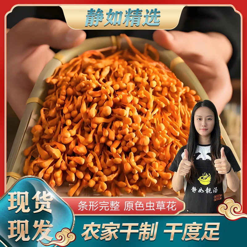 【静如优选】虫草花新鲜晾晒 无熏硫无染色 菌菇鸡汤