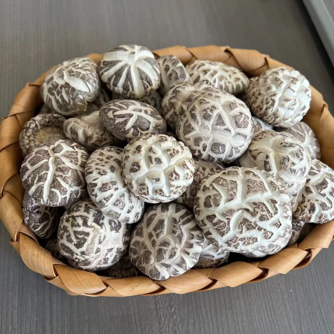 白花菇厚身花菇 高级食材 佛跳墙 250克/500克