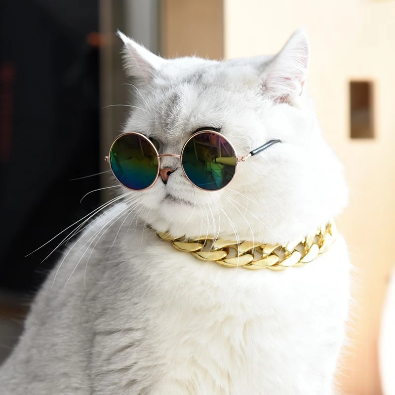 宠物狗狗项圈猫咪金色链子银项链饰品拍照眼镜英短泰迪比熊小型犬