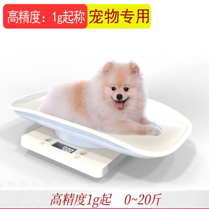 宠物秤称重器小动物专用体重电子秤幼猫猫咪狗狗小型猫用克称家用
