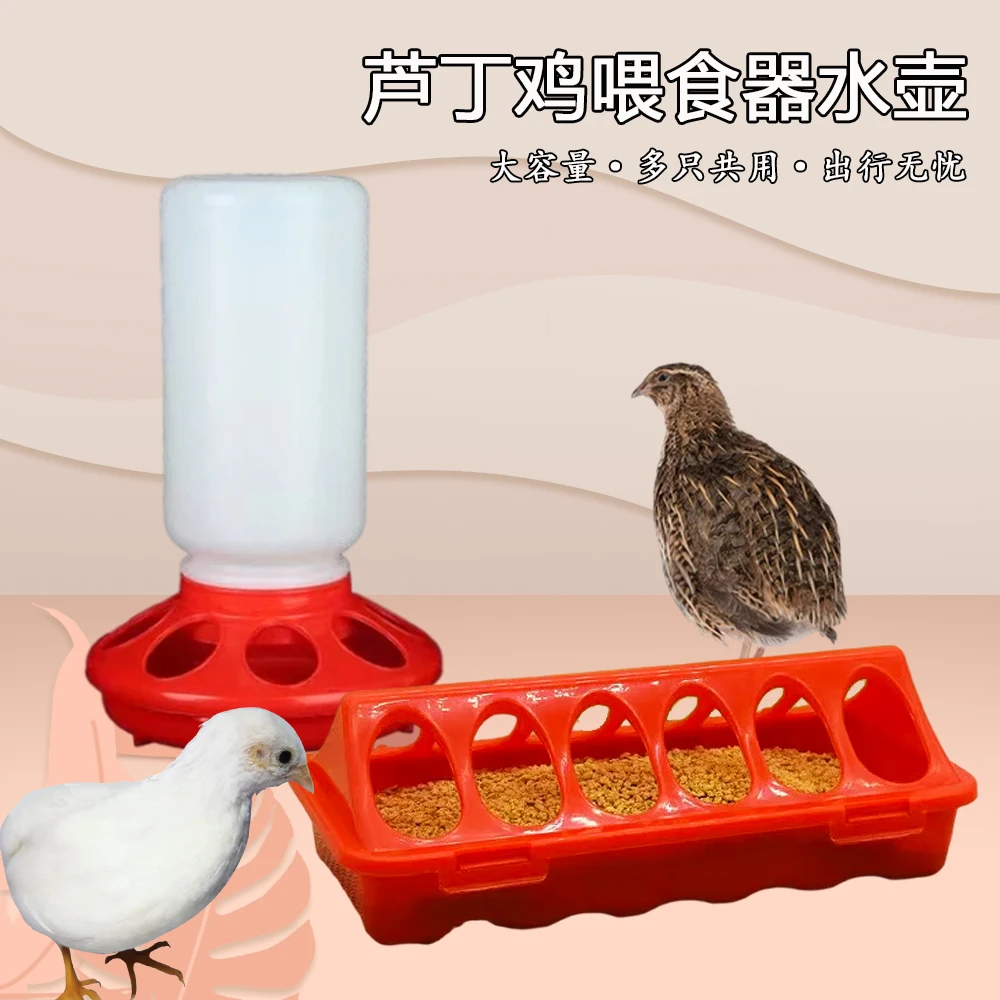 喂食器水壶小鸡自动喂水饮水器鸽子鹌鹑饲料喂食槽芦丁鸡造景用品