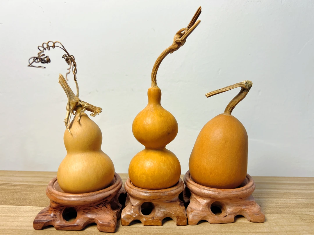 直播间专用天然葫芦一物一拍