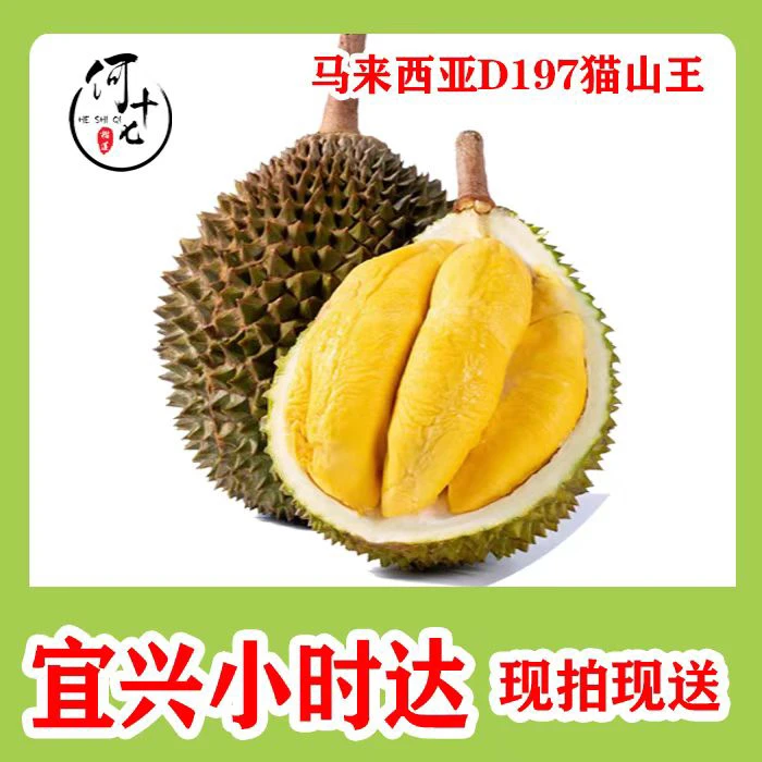 【AA猫山王】保33%出肉率整果双A马来西亚新鲜树熟液氮锁鲜D197猫山王榴莲 称斤改价核小猫山王马来西亚