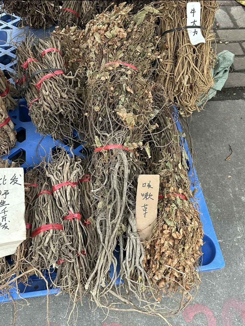 山货千斤拔  咳嗽草 球穗花千斤拔 百咳草 干货 包邮