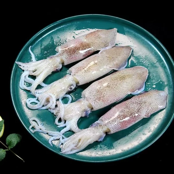 【海娃-野生海兔】新鲜海捕国产笔管鱼 速冻锁鲜山东威海码头直发