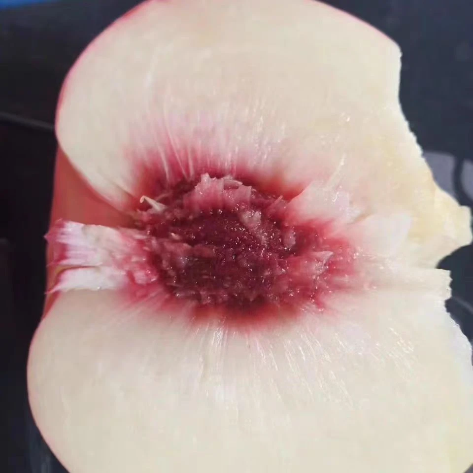 正宗山东蒙阴蜜桃现摘现发应季水果4.5斤9斤映霜红金秋红密