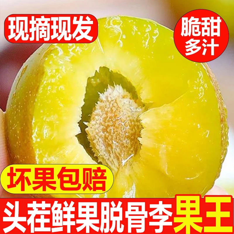 贵州新鲜清脆脱骨李子四川冰脆李原生态应季水果酸脆6斤5斤斤包邮