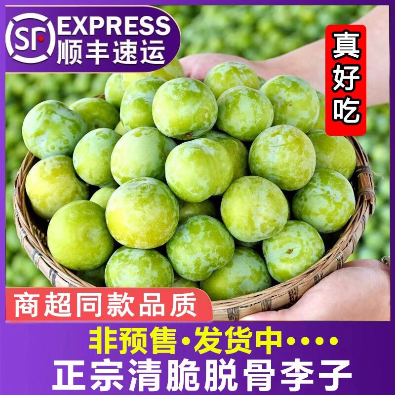 贵州新鲜清脆脱骨李子四川冰脆李原生态应季水果酸脆5斤顺丰包邮