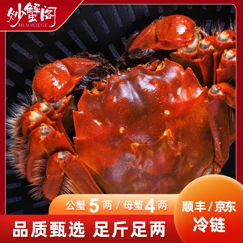 【活蟹】妙蟹阁大闸蟹 公蟹5.0两 母蟹4.0两 4对8只装 顺丰冷链包邮