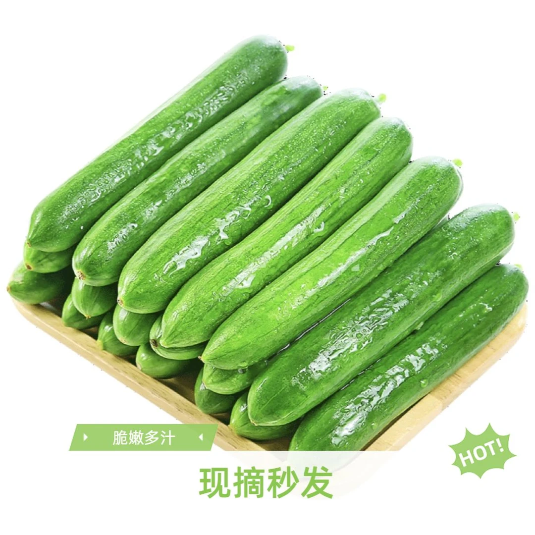 一整箱｜5斤水果黄瓜1斤3斤山东无刺包邮广西爽口小青瓜当季现摘