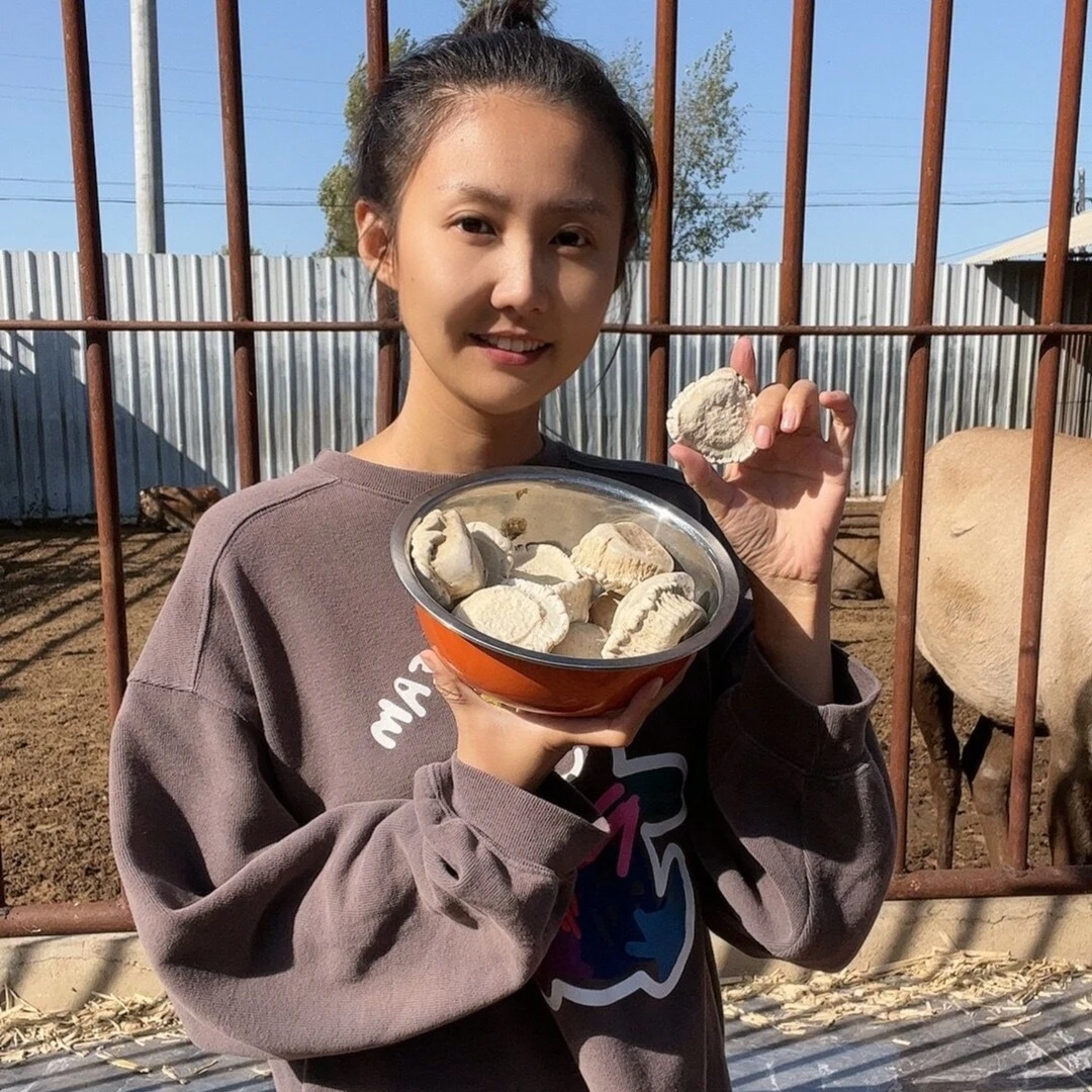 吉林鹿乡产地直发 廘角帽（免费打粉）超微超细粉
