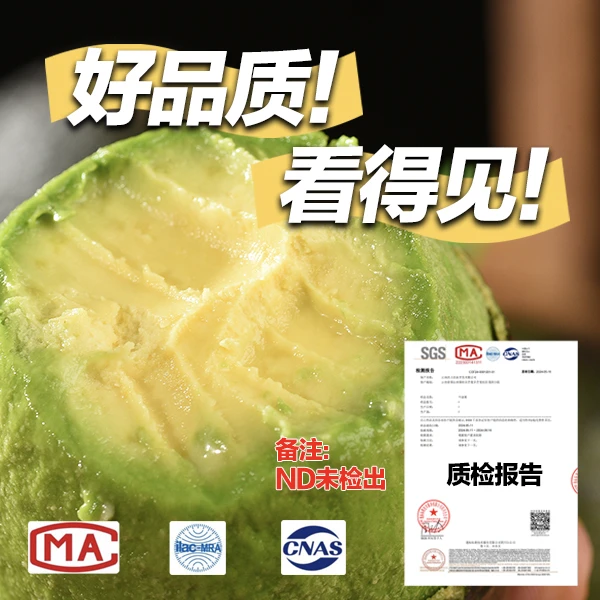 【京东顺丰包邮】树熟哈斯牛油果高品质鳄梨软糯老人孕妈妈辅食轻食