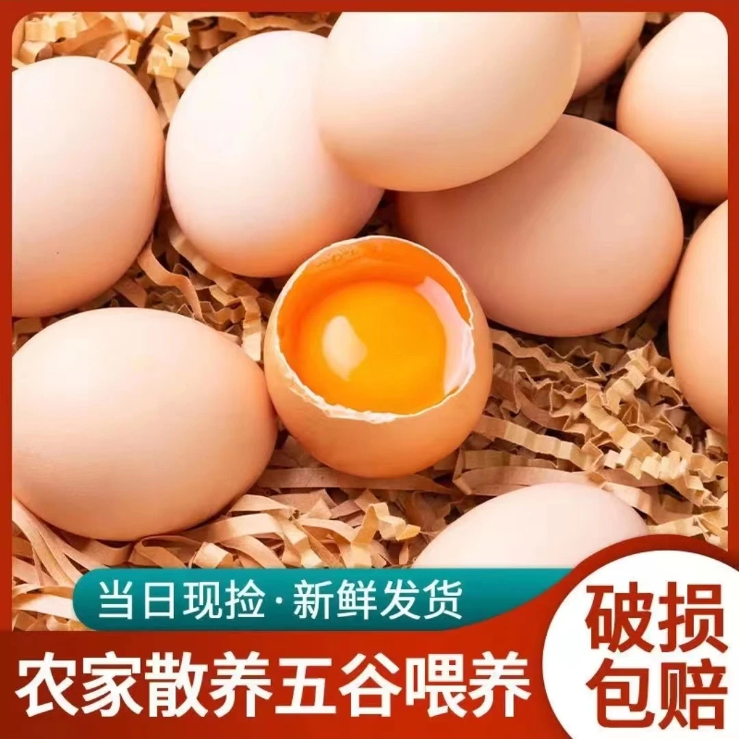 买40枚粉壳土鸡蛋 再赠送10枚粉壳土鸡蛋 共50枚/2000g