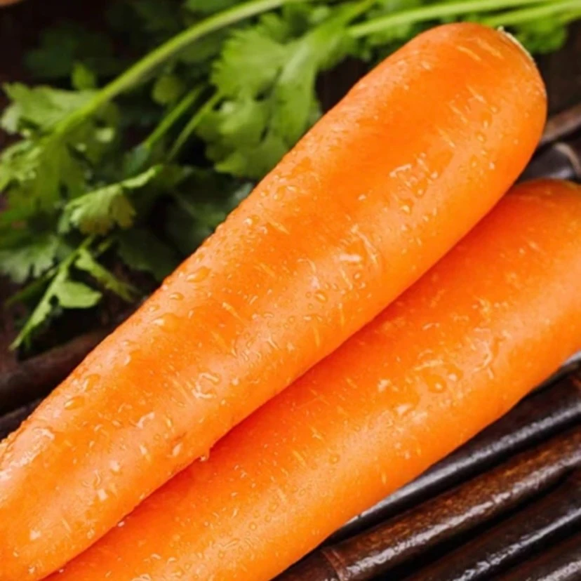 食用甘肃酒泉新鲜沙地水果胡萝卜脆甜榨汁辅食5斤