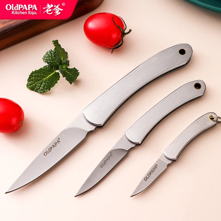 老爹 不锈钢折叠水果刀便捷随身钥匙刀迷你小刀家用瓜果刀削皮刀