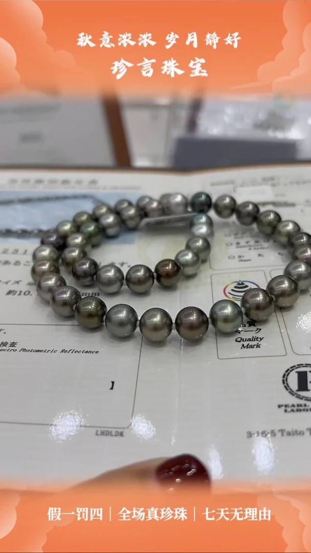 【闪购商品】海水珍珠颈饰未镶嵌黑碟皇后多样性发一ss