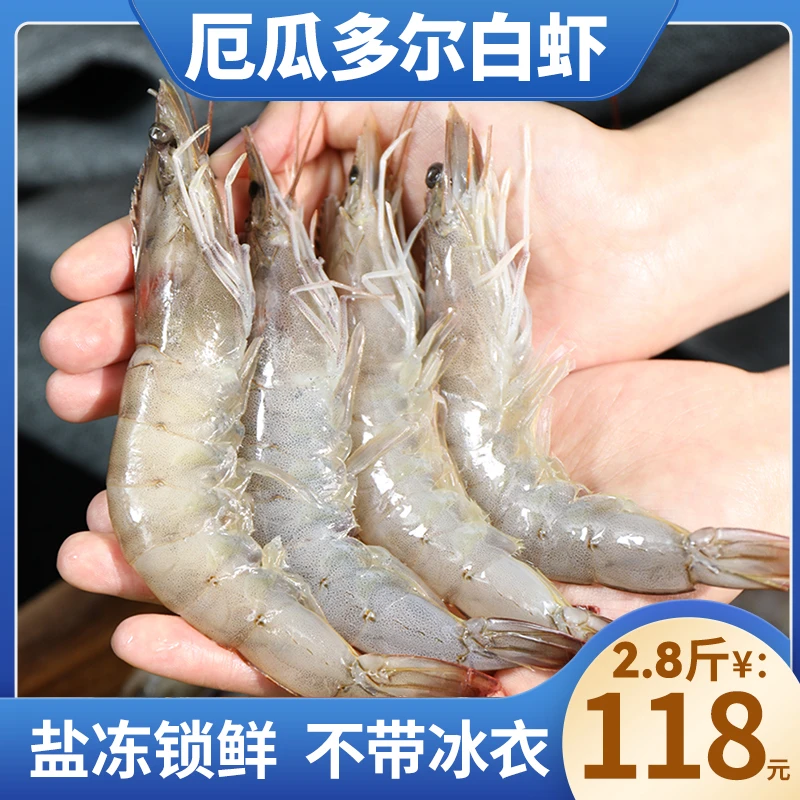 港岛姑娘30/40大号厄瓜多尔白虾海水大虾 盐冻虾净2.8斤约55~60只
