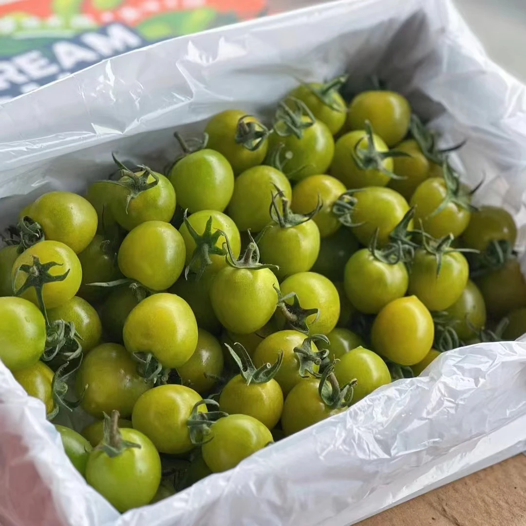 每一口都爆汁的小青衣