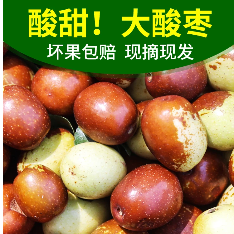 野生酸枣新鲜山枣现摘现发新鲜水果童年味道山东脆甜孕妇大酸枣