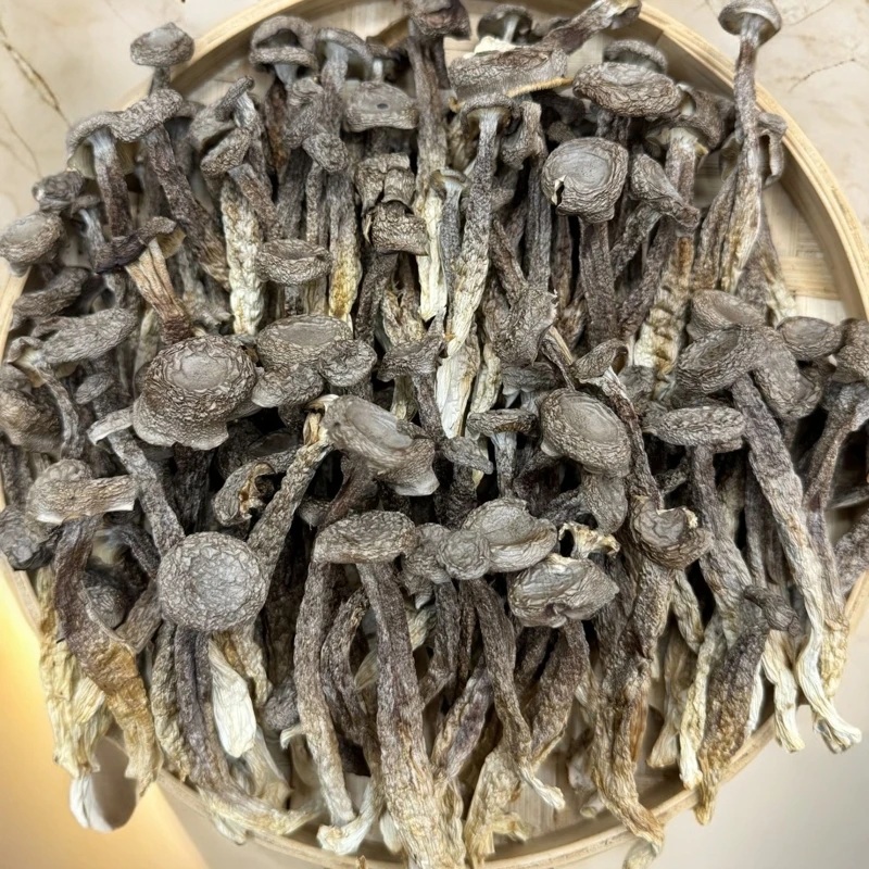 【老林家】云南精选头茬鹿茸菇250g/500g干货
