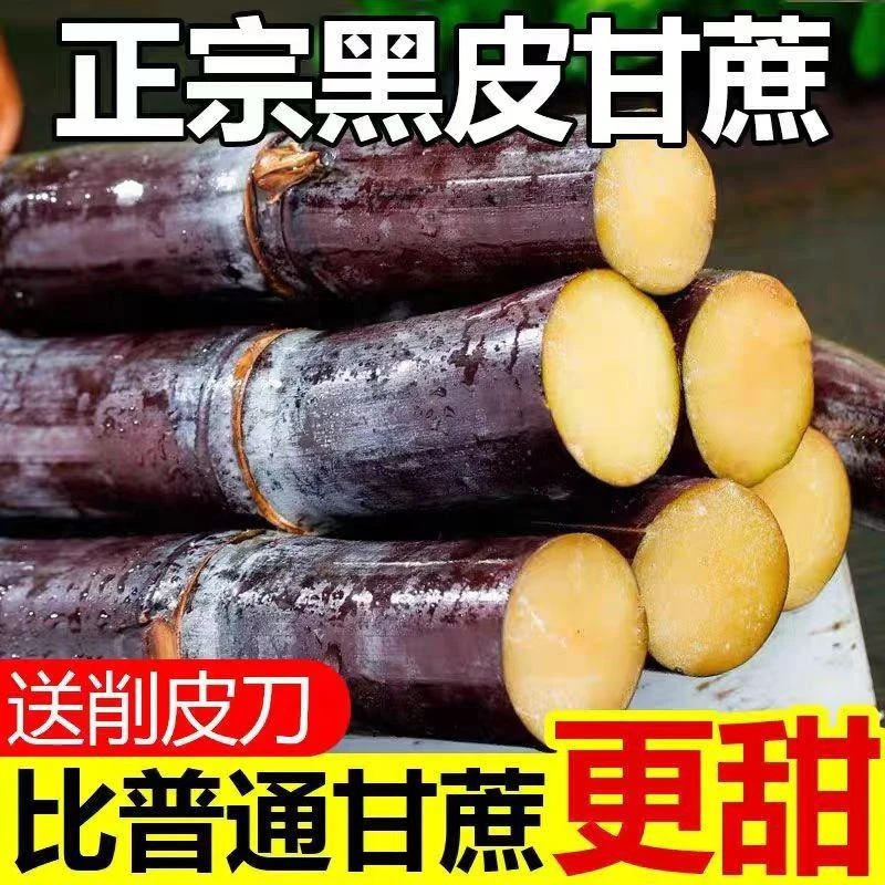 (现砍现称)正宗广西黑皮甘蔗新鲜脆甜水果应季特产