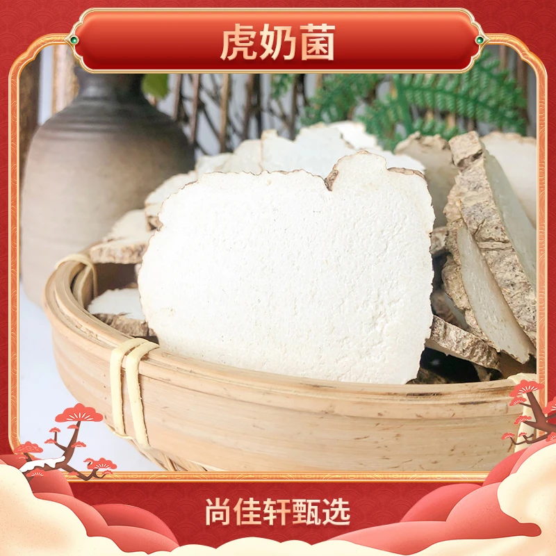 【精选大片】热带虎奶菌干货虎乳菇