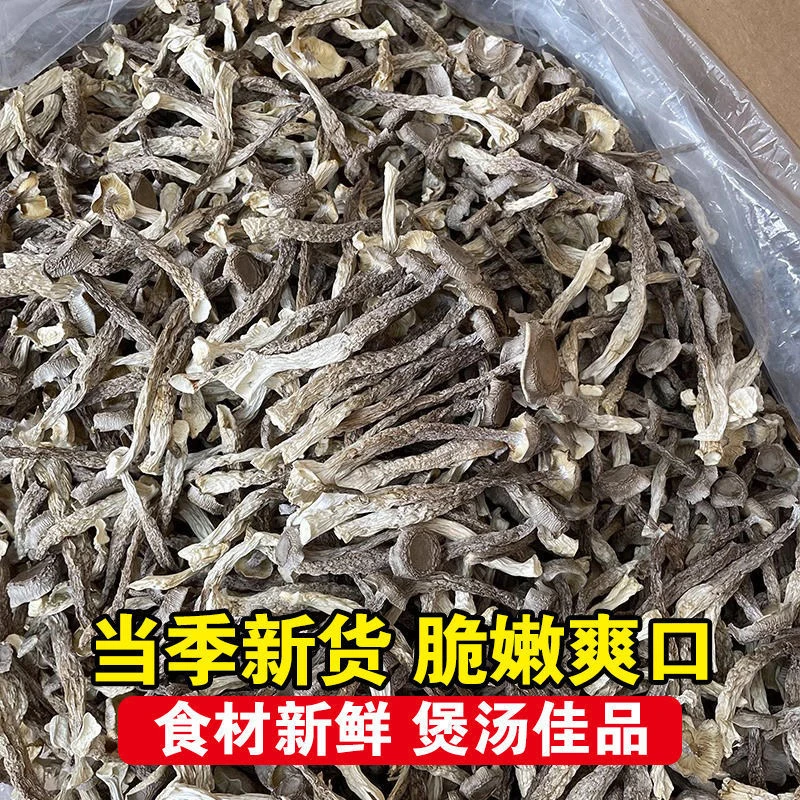 优质鹿茸菇脆脆菇云南特产野生菌鹿松茸林下种植鹿茸菇鹿茸菌