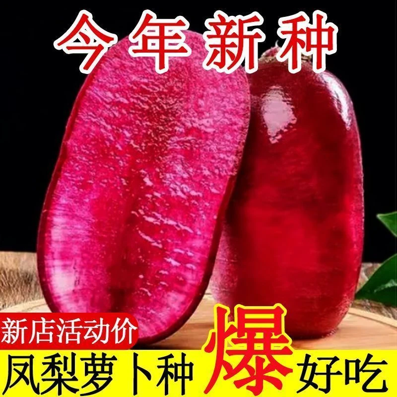 凤梨水果萝卜种子凤梨萝卜生吃红心脆心里美四季春秋夏季蔬菜种籽
