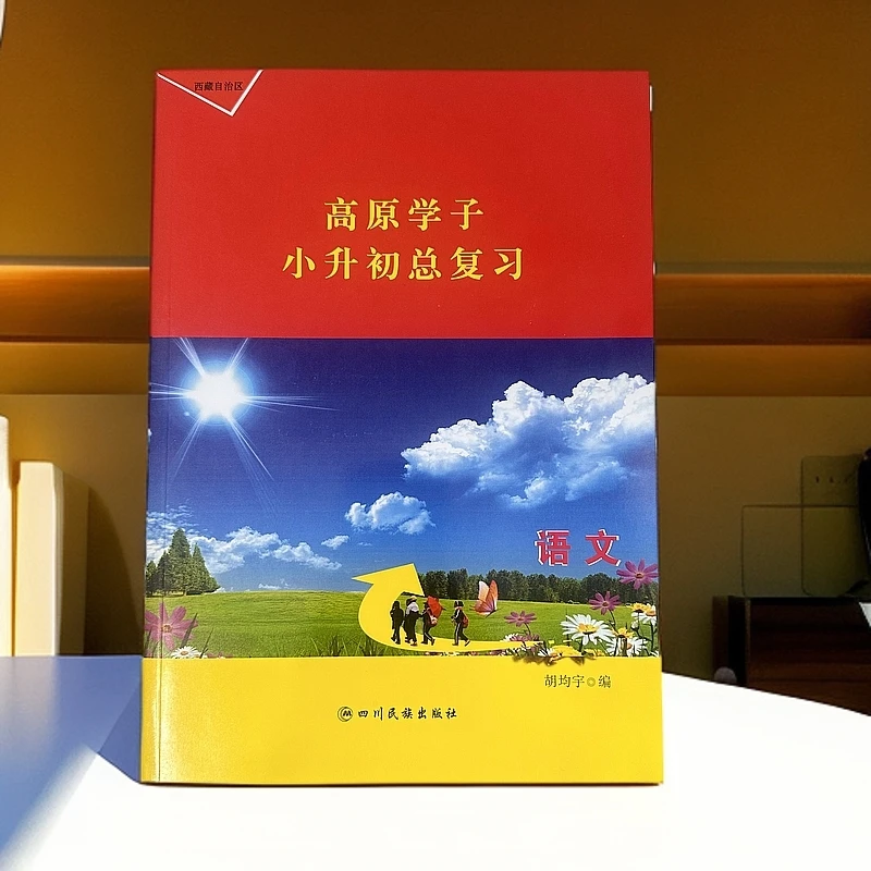 高原学子小升初总复习2025版语文