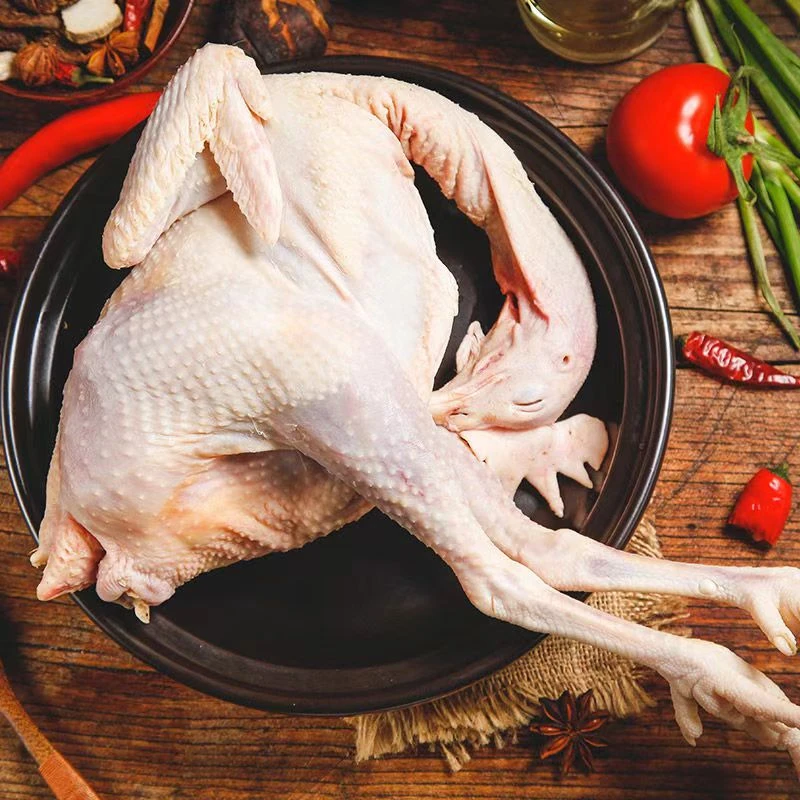 （果果妞代买）海陵岛农家山林散养跑山鸡果园鸡现杀海鸭草鹅