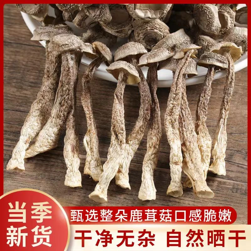 干货鹿茸菇 无干燥剂  优质干货鲜香脆嫩 500g【RR】