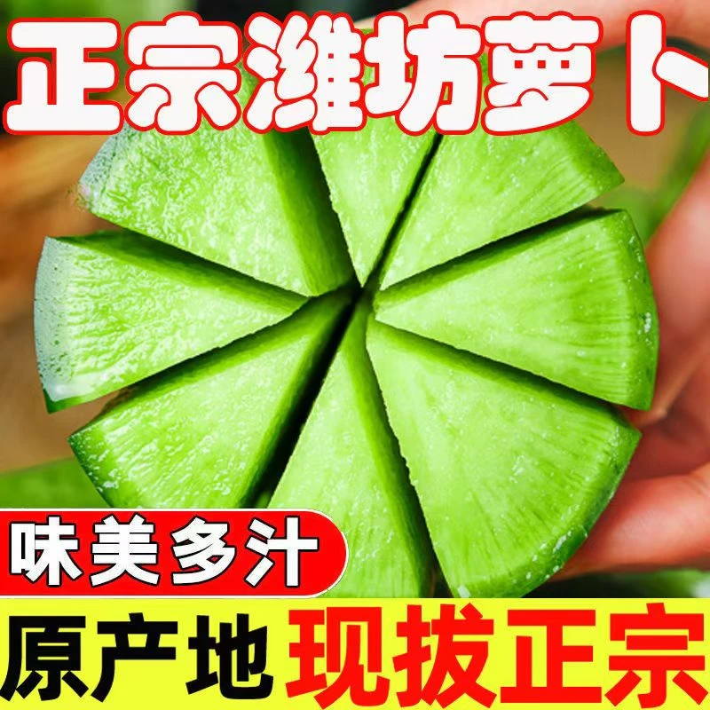 富硒潍坊萝卜濰县萝卜沙窝萝卜水果蔬菜当季水果潍坊富硒萝卜
