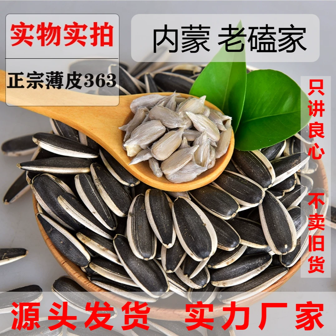 老嗑家葵花籽瓜子原味五香香脆颗粒便宜内蒙古原产地直发瓜子
