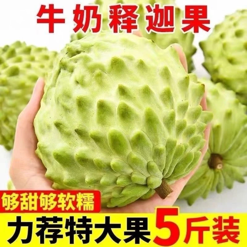 【牛奶释迦】新鲜水果广西凤梨释迦3/5斤大果香甜 刺果 番荔枝