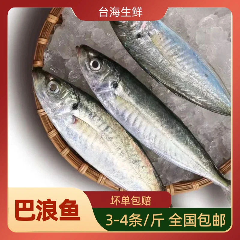 福建新鲜野生巴郎鱼家庭经济鱼发顺丰京东到手5斤一斤3-4条