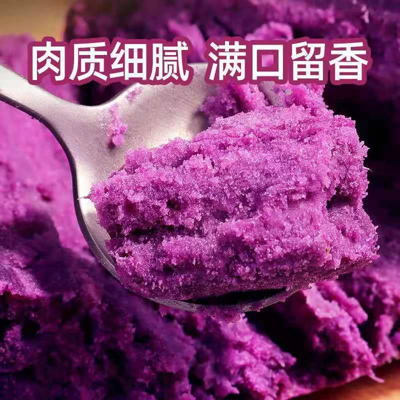 山东新鲜现挖农产品紫薯地瓜番薯紫薯代餐辅食软糯香甜紫薯5斤