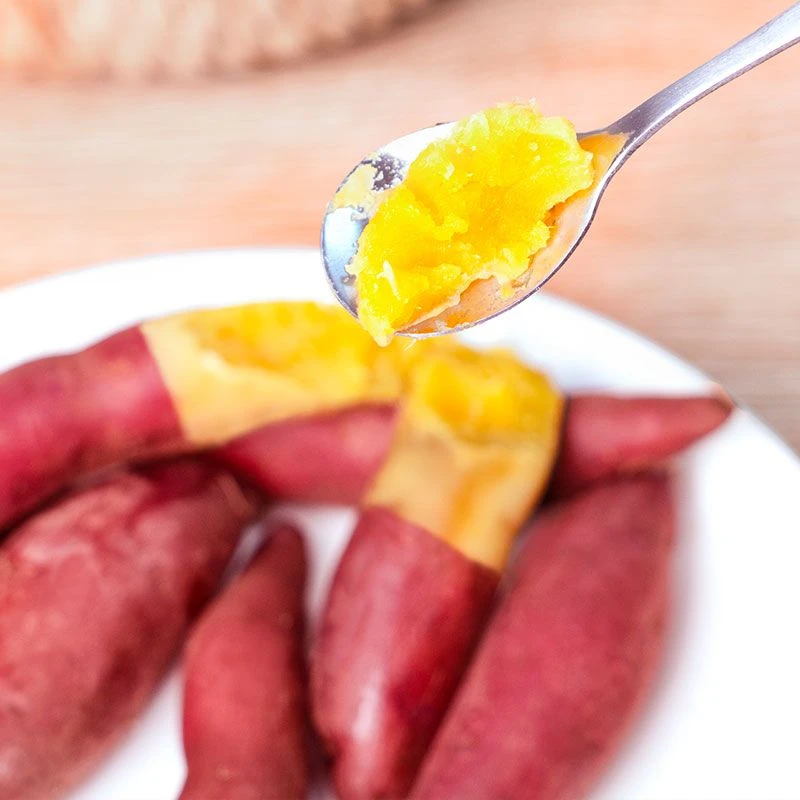 天目山红薯小香薯红皮甜糯软糯甜糯新鲜板栗红薯小香薯非临安