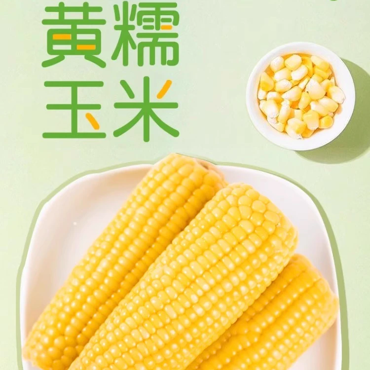 正宗东北玉米棒新鲜甜糯玉米真空包装黄糯甜玉米早晚代餐5/10支