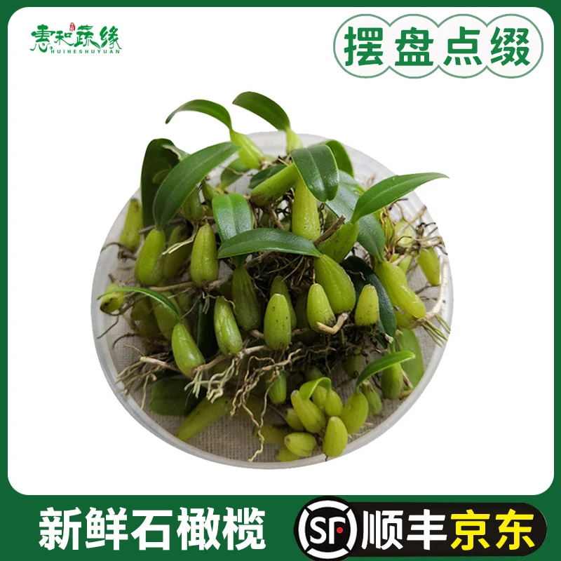 新鲜石橄榄双叶单叶中小果石莲煲汤食材材料石仙桃果上叶500g