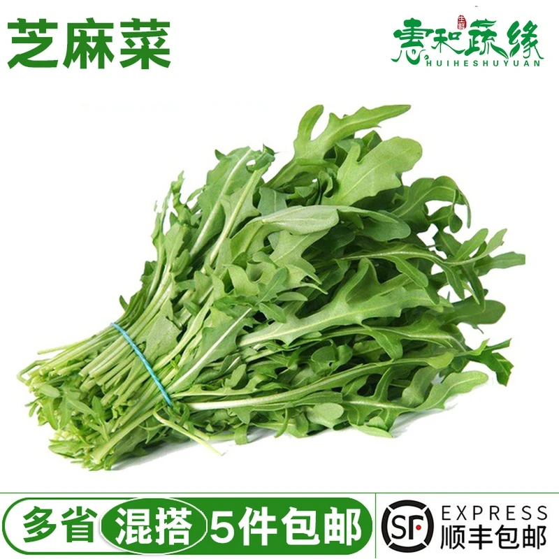 芝麻叶新鲜生菜芝麻菜火箭菜新鲜即食西餐蔬菜沙拉生菜食材250g