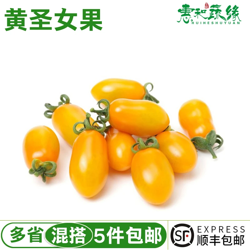 新鲜黄色圣女果小番茄樱桃西红柿新鲜孕妇宝宝水果农家水果500g