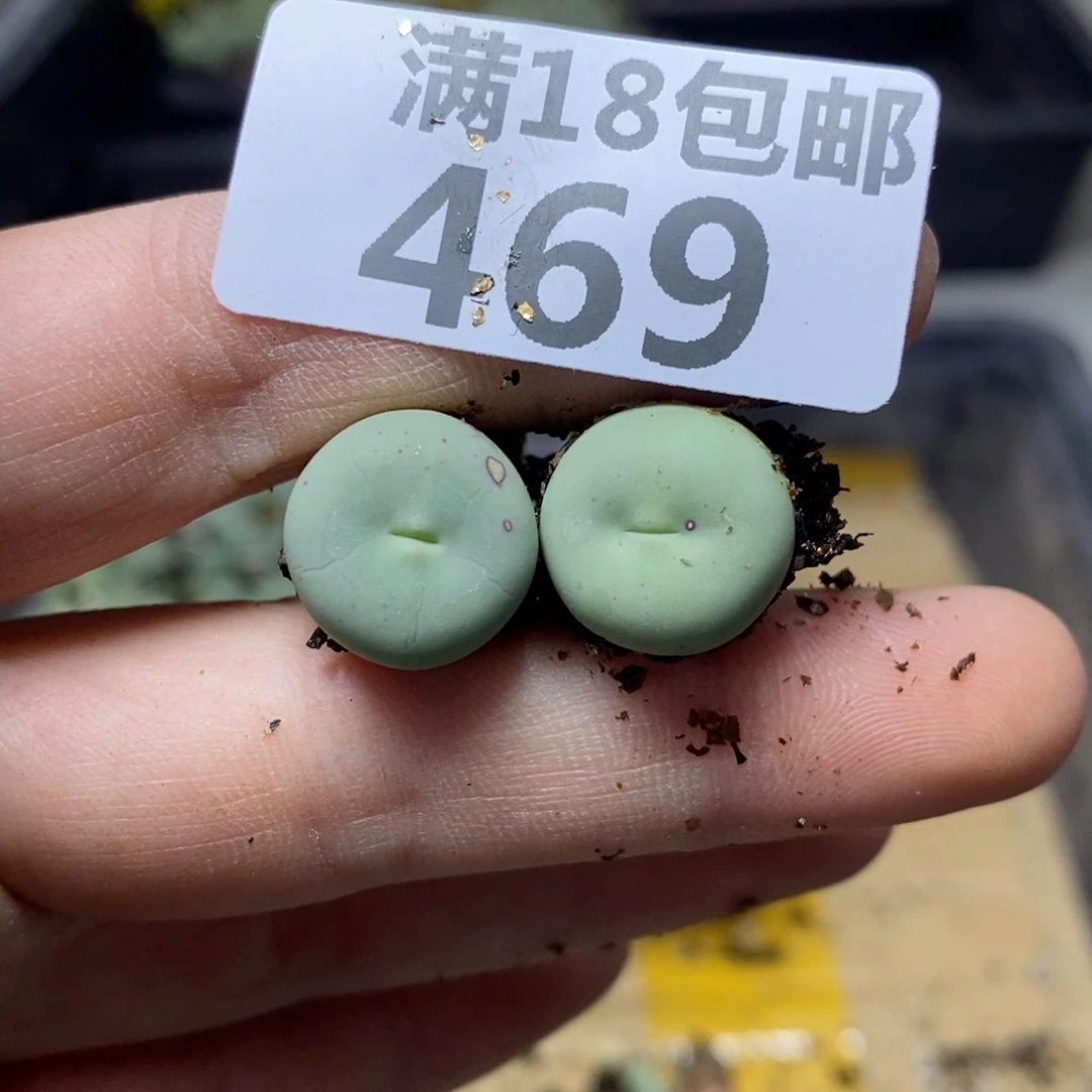 469。