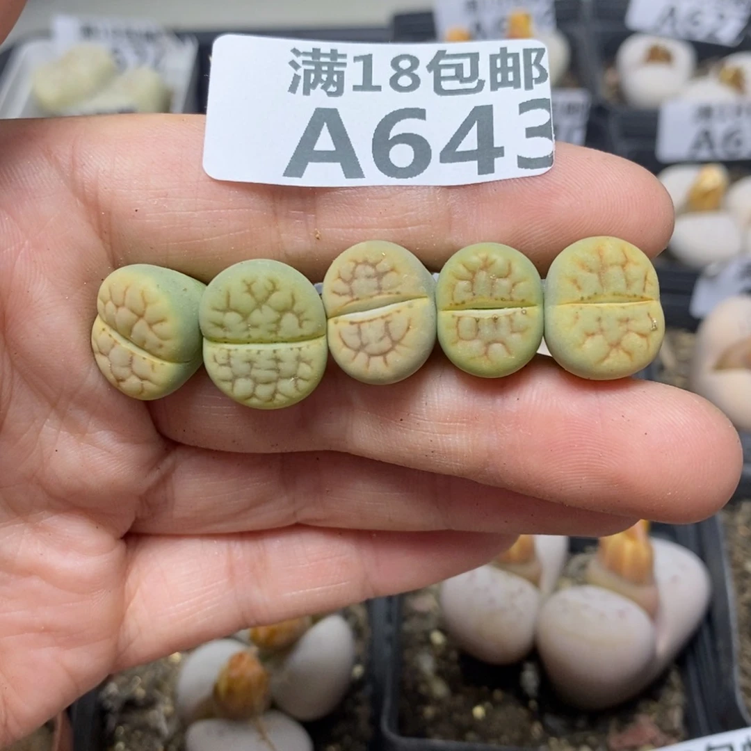 643。