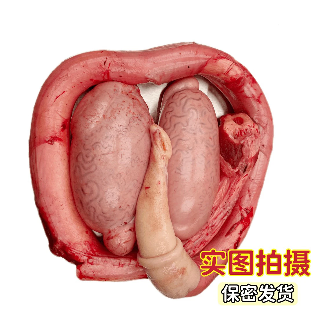 新鲜牛鞭，牛三宝，精修，去尿管，精壮黄牛，顺丰包邮，牛麻雀，牛卵蛋