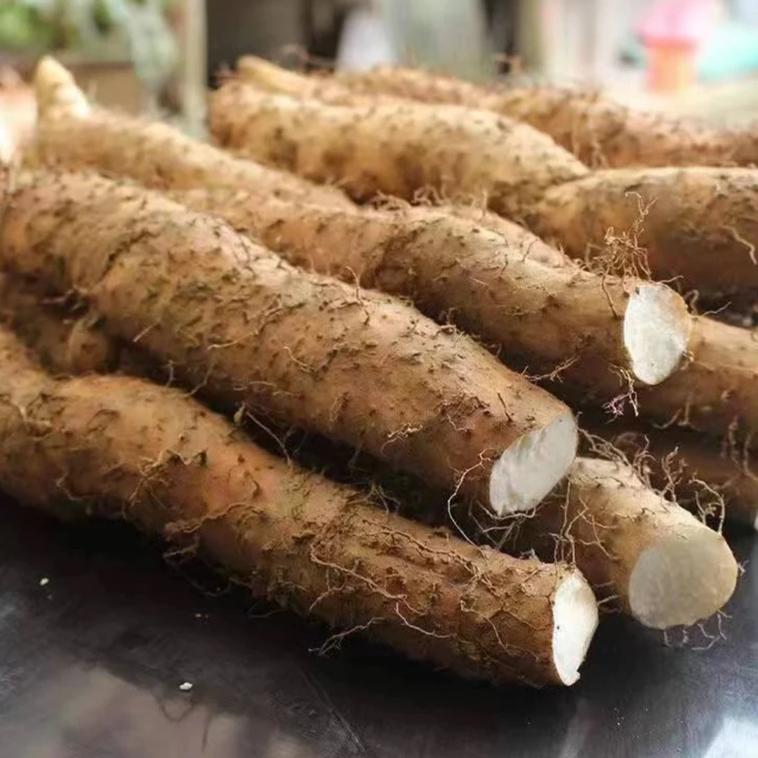 湖北恩施利川山药团堡正宗垆土山药蔬菜新鲜现挖粉糯可口清香怡人